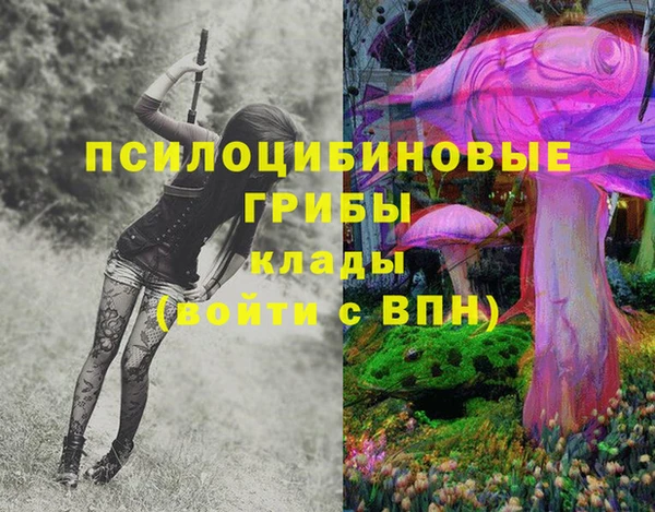 стафф Кострома