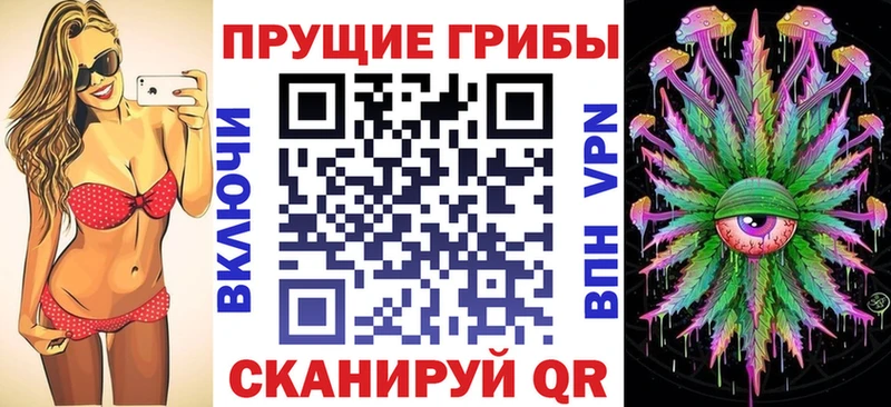 где купить наркоту  Нижний Тагил  Псилоцибиновые грибы GOLDEN TEACHER 